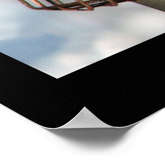 Red-Bellied Woodpecker Poster (Hoek)