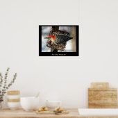 Red-Bellied Woodpecker Poster (Keuken)