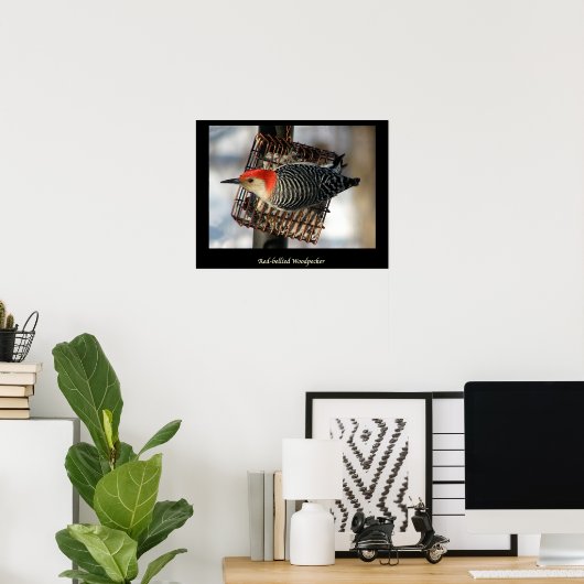 Red-Bellied Woodpecker Poster (Thuiskantoor)