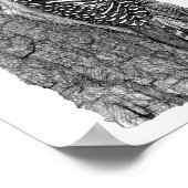 Red-bellied Woodpecker Poster (Hoek)