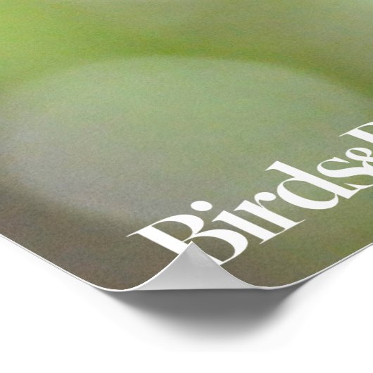 Red-Bellied Woodpecker Poster (Hoek)