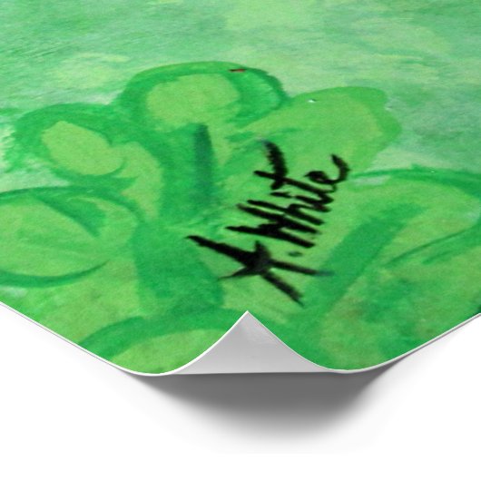 Red Bellied Woodpecker Poster (Hoek)