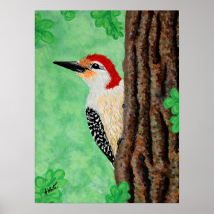 Red Bellied Woodpecker Poster