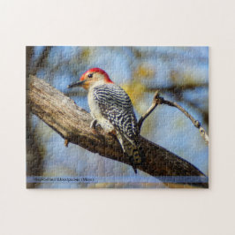 Red-Bellied Woodpecker Puzzle Legpuzzel