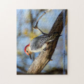 Red-Bellied Woodpecker Puzzle Legpuzzel (Verticaal)