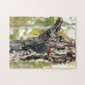 Red Bellied Woodpecker Puzzle Legpuzzel (Horizontaal)