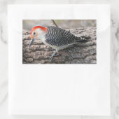 Red-Bellied Woodpecker Rechthoekige Sticker (Tas)