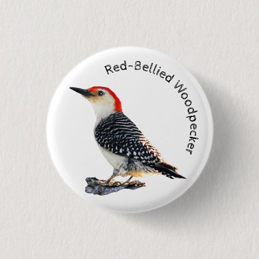 Red-Bellied Woodpecker Ronde Button 3,2 Cm (Voorkant)