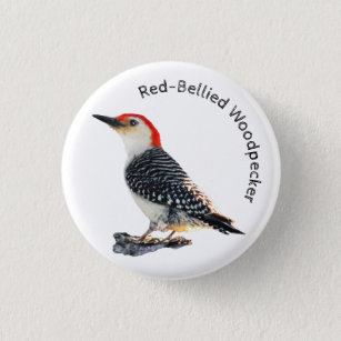 Red-Bellied Woodpecker Ronde Button 3,2 Cm