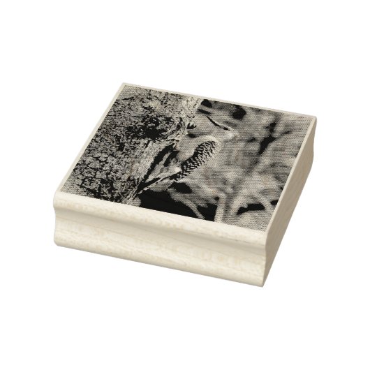 Red Bellied Woodpecker Rubberstempel (Stempel)