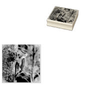 Red Bellied Woodpecker Rubberstempel (Gestempeld)