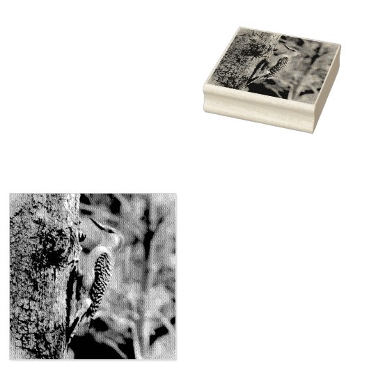 Red Bellied Woodpecker Rubberstempel (Gestempeld)