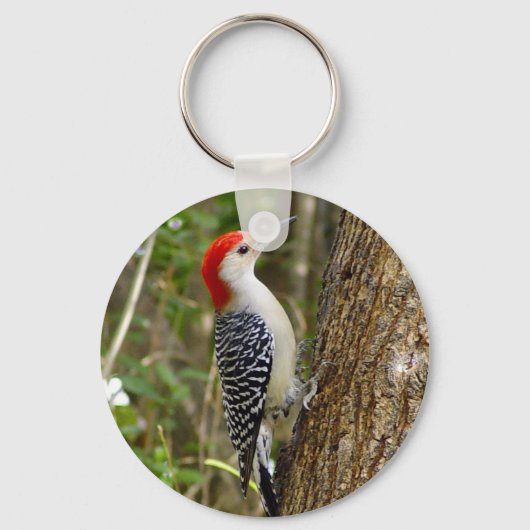Red Bellied Woodpecker Sleutelhanger (Voorkant)