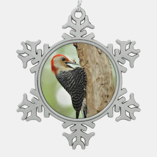 Red-Bellied Woodpecker Tin Sneeuwvlok Ornament (Voorkant)