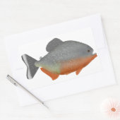 Red Belly Piranha Rechthoekige Sticker (Envelop)