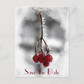 Red Berries en Frost Winter Wedding Save the Date Aankondigingskaart (Voorkant)