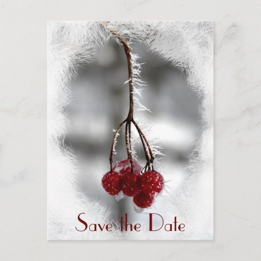 Red Berries en Frost Winter Wedding Save the Date Aankondigingskaart (Voorkant)