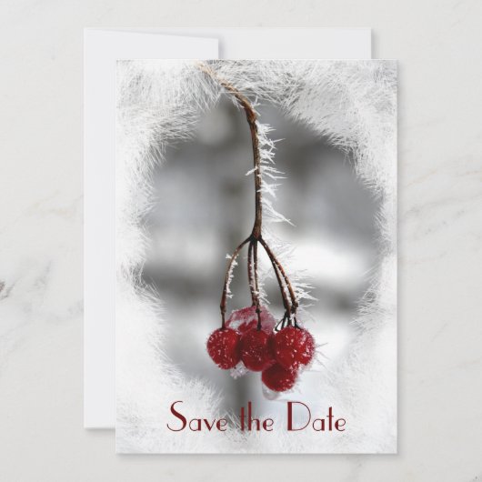 Red Berries en Frost Winter Wedding Save the Date Kaart (Voorkant)