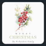 Red Berry Fir Winter Christmas Foliage Waterverf Vierkante Sticker<br><div class="desc">Als u nog meer aanpassingen nodig hebt,  kunt u mij op yellowfebstudio@gmail.com vrij klikken.</div>