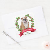 Red Berry Holly Banner Bulldog Kerstmis Vierkante Sticker (Envelop)