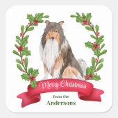 Red Berry Holly Banner Collie Dog Kerstmis Vierkante Sticker (Voorkant)