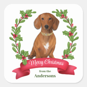 Red Berry Holly Banner Red Dachshund Kerstmis Vierkante Sticker