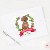 Red Berry Holly Banner Red Dachshund Kerstmis Vierkante Sticker (Envelop)