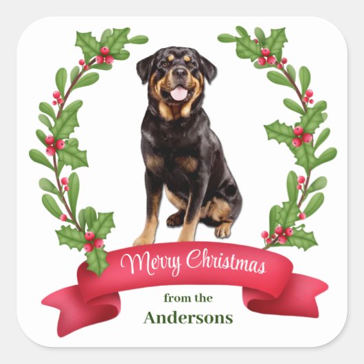 Red Berry Holly Banner Rottweiler Dog Kerstmis Vierkante Sticker (Voorkant)