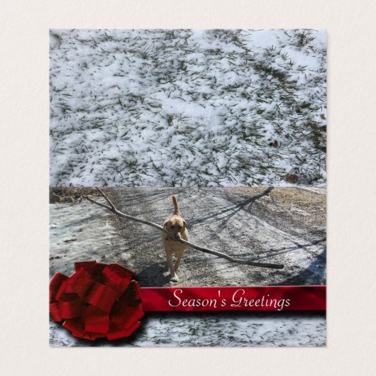 Red Berry Ribbon Snow Kaart (Buitenkant ongevouwen)