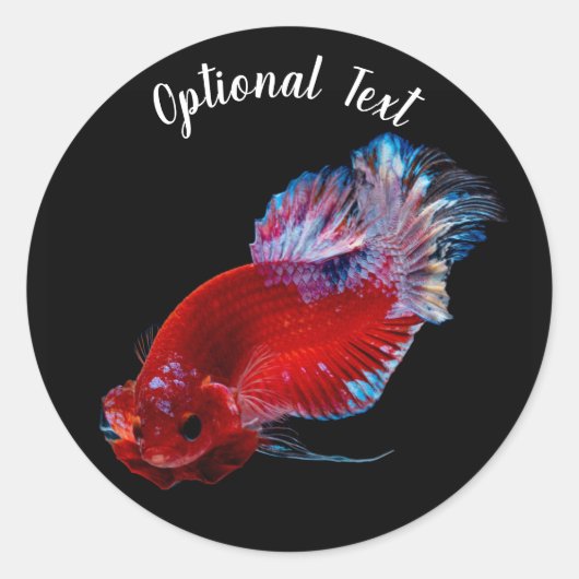 Red Betta Fighting Fish Ronde Sticker (Voorkant)