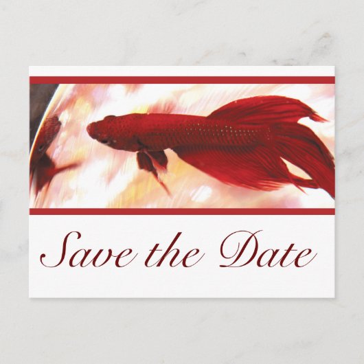 Red Betta Fish Bewaar de datum Aankondigingskaart (Voorkant)