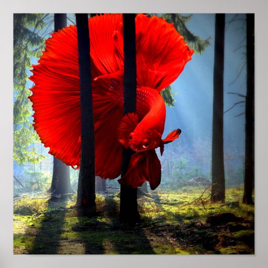 Red Betta Fish Poster (Voorkant)