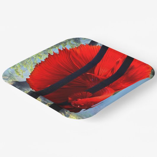 Red Betta Papieren Bordje (Gebogen)