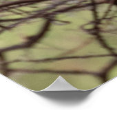 Red-billed Hornbill — Sentinel van de Savanne Poster (Hoek)