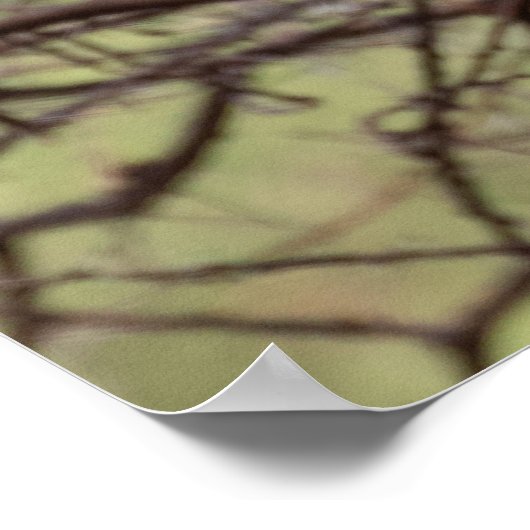 Red-billed Hornbill — Sentinel van de Savanne Poster (Hoek)