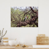 Red-billed Hornbill — Sentinel van de Savanne Poster (Keuken)