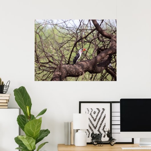 Red-billed Hornbill — Sentinel van de Savanne Poster (Thuiskantoor)