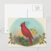 Red Bird Briefkaart (Voorkant / Achterkant)