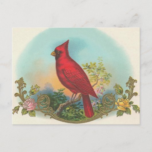 Red Bird Briefkaart (Voorkant)