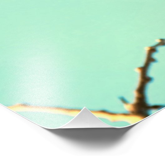 Red Bird & Cherry Blooms Foto Afdruk (Hoek)