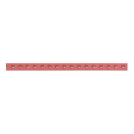 Red Black Ladybugs Birthday Grosgrain Lint