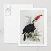 Red-Bled Toucan, van 'A Monograph of the Rampha' Briefkaart (Voorkant / Achterkant)