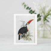 Red-Bled Toucan, van 'A Monograph of the Rampha' Briefkaart (Staand voorkant)