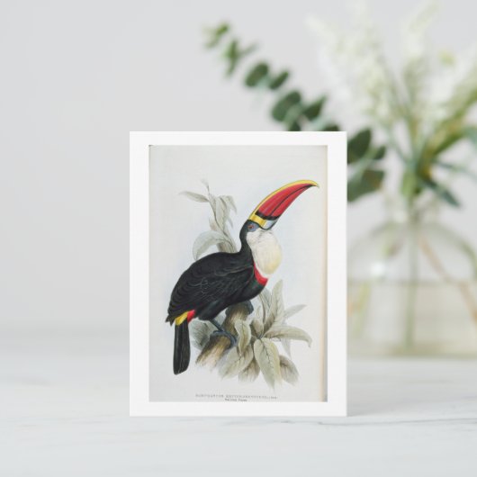 Red-Bled Toucan, van 'A Monograph of the Rampha' Briefkaart (Staand voorkant)