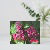 Red Bleeding Heart Photo Briefkaart (Staand voorkant)