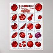 Red blood poster (Voorkant)