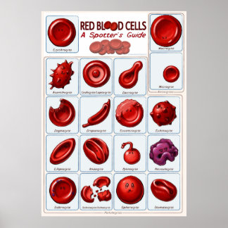 Red blood poster