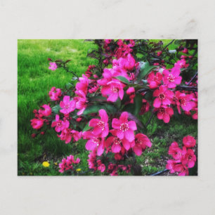 RED BLOSSOMS BRIGHT BRIEFKAART