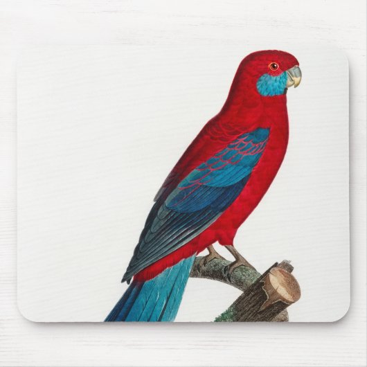 Red Blue Crimson Rosella Parrots Muismat (Voorkant)