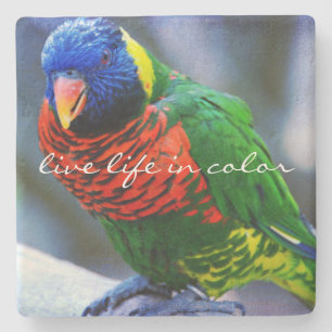Red Blue Green Bird Photo Live Life in Color Quote Stenen Onderzetter